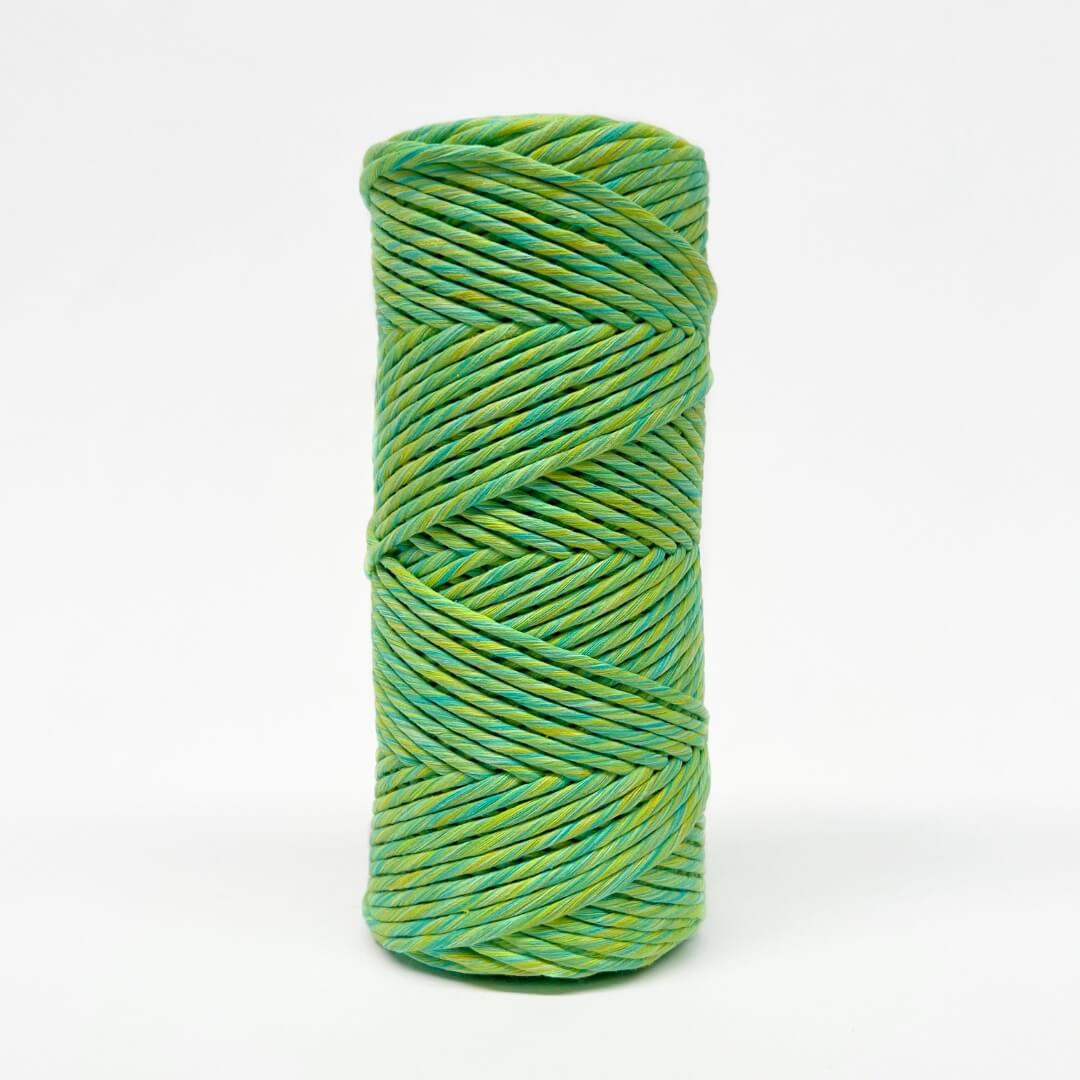 Blue, green and yellow mixed macrame string in 4mm standing upright with white background