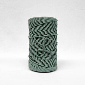 3mm eucalyptus string on white background