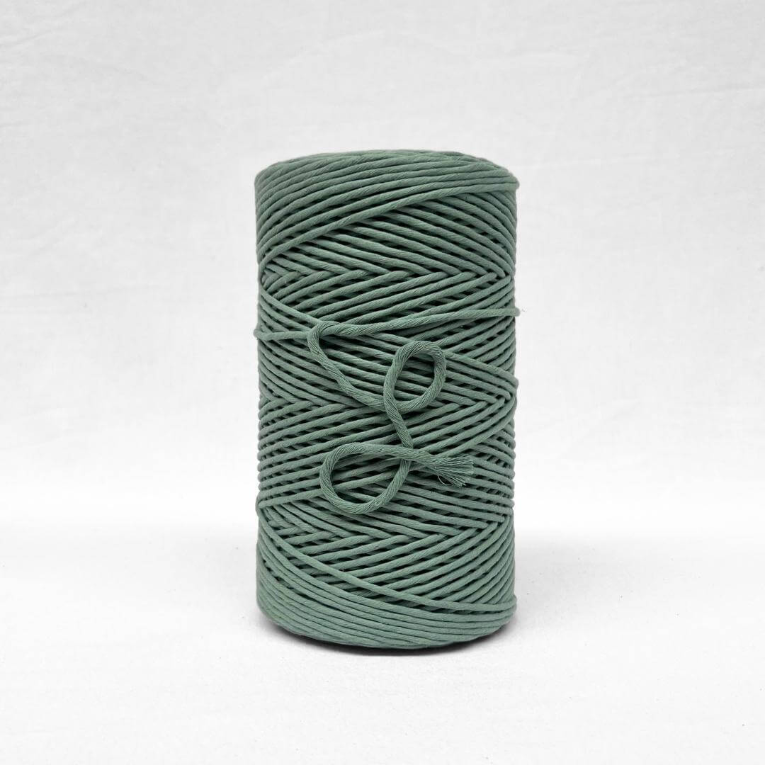 3mm eucalyptus string on white background