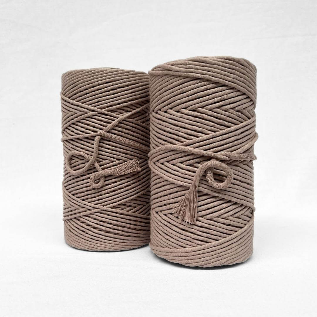 two quartz light brown rolls on white background