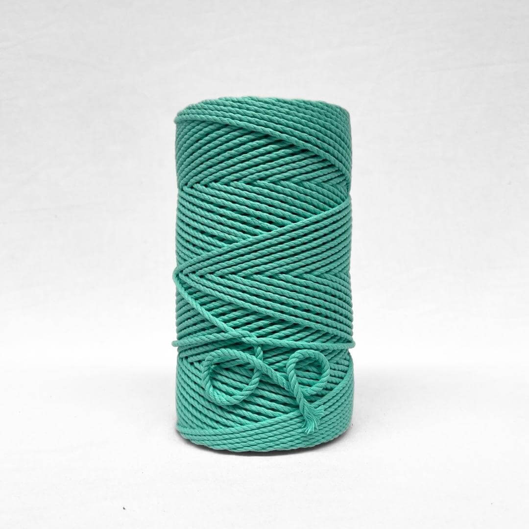 deep mint green 4mm rope cotton cord standing upright on whtie background showcasing product softness with small brushed out piece