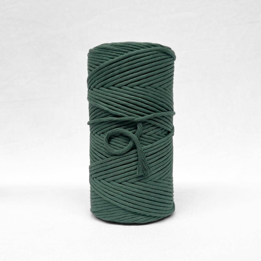 Recycled Luxe Macrame String // Ivy