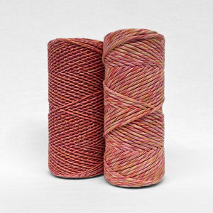 orange pink purple and yellow colour way of mixed string stnading side by side on white wall