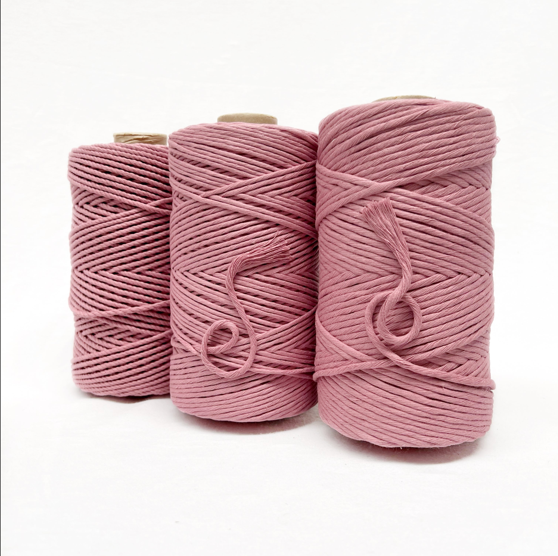 primrose pink combination photo three rolls standing on white background