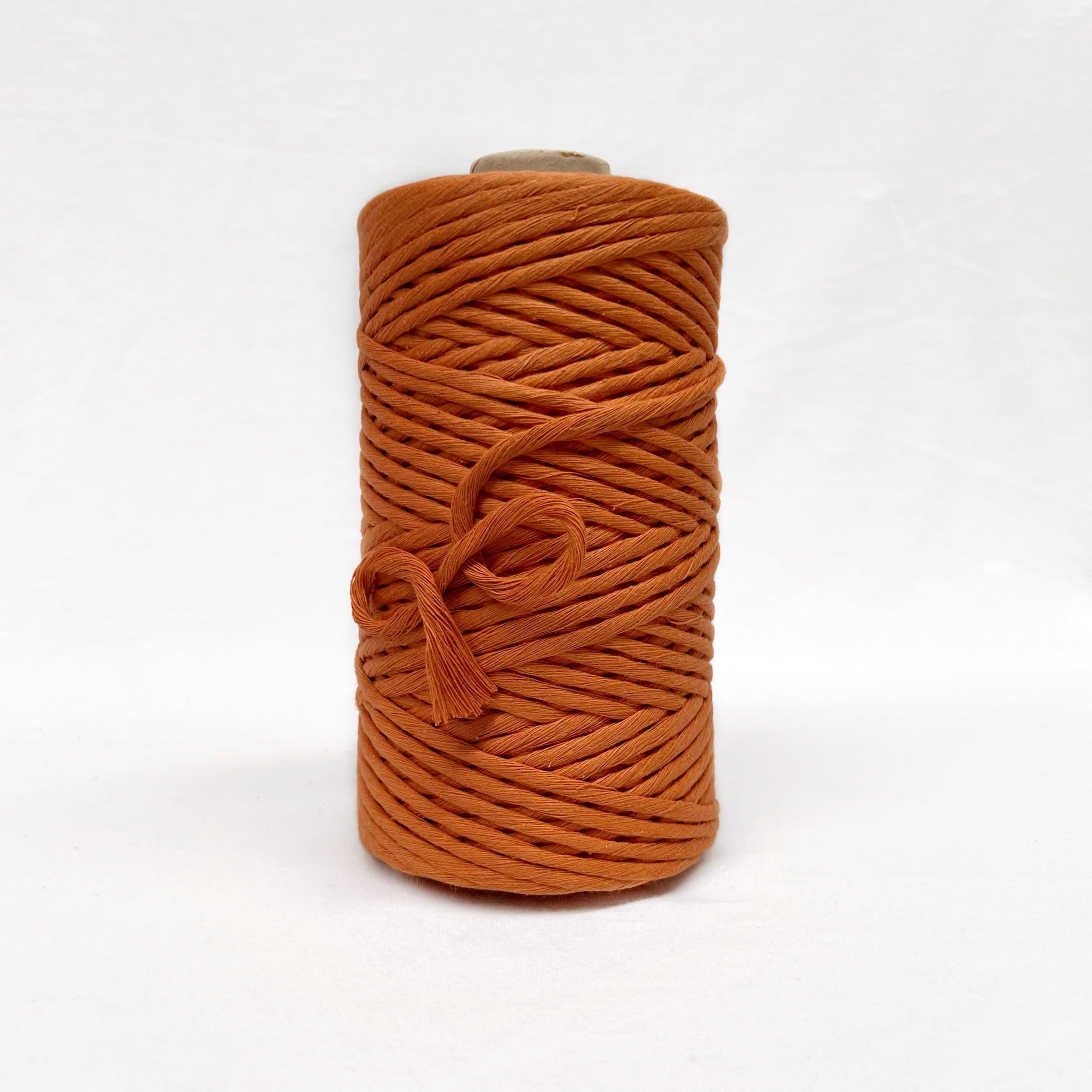 Recycled Luxe Macrame String // Citrine