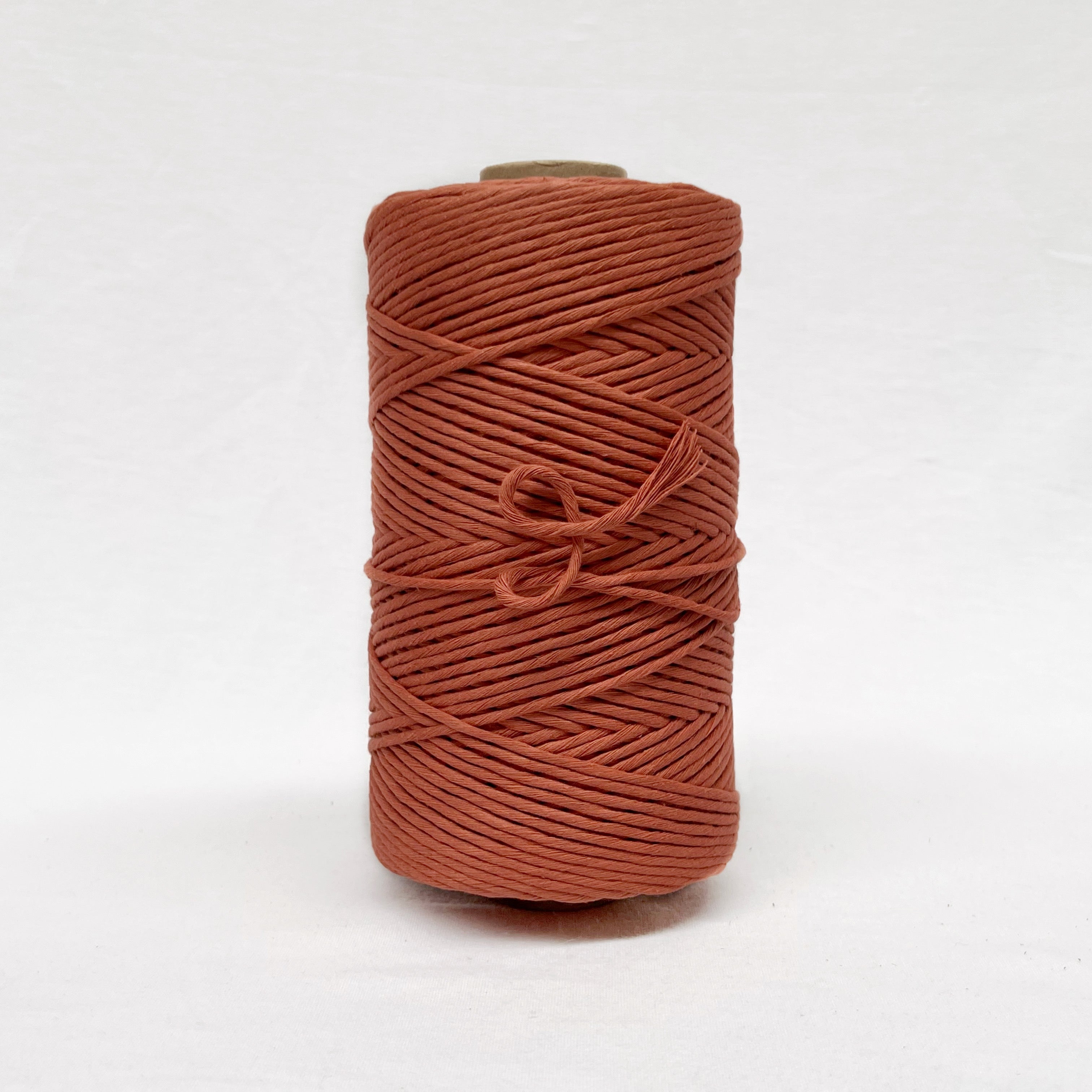 Recycled Luxe Macrame String // Terracotta