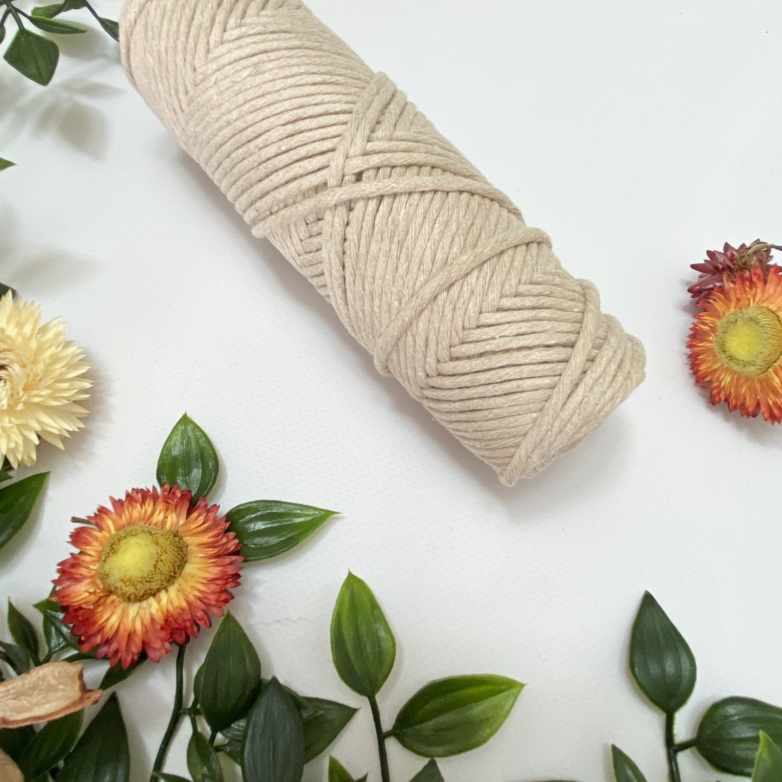 Mary Maker Studio Luxe Colour Cotton Natural 3mm Minis - Luxe Cotton String (50 Colours) macrame cotton macrame rope macrame workshop macrame patterns macrame