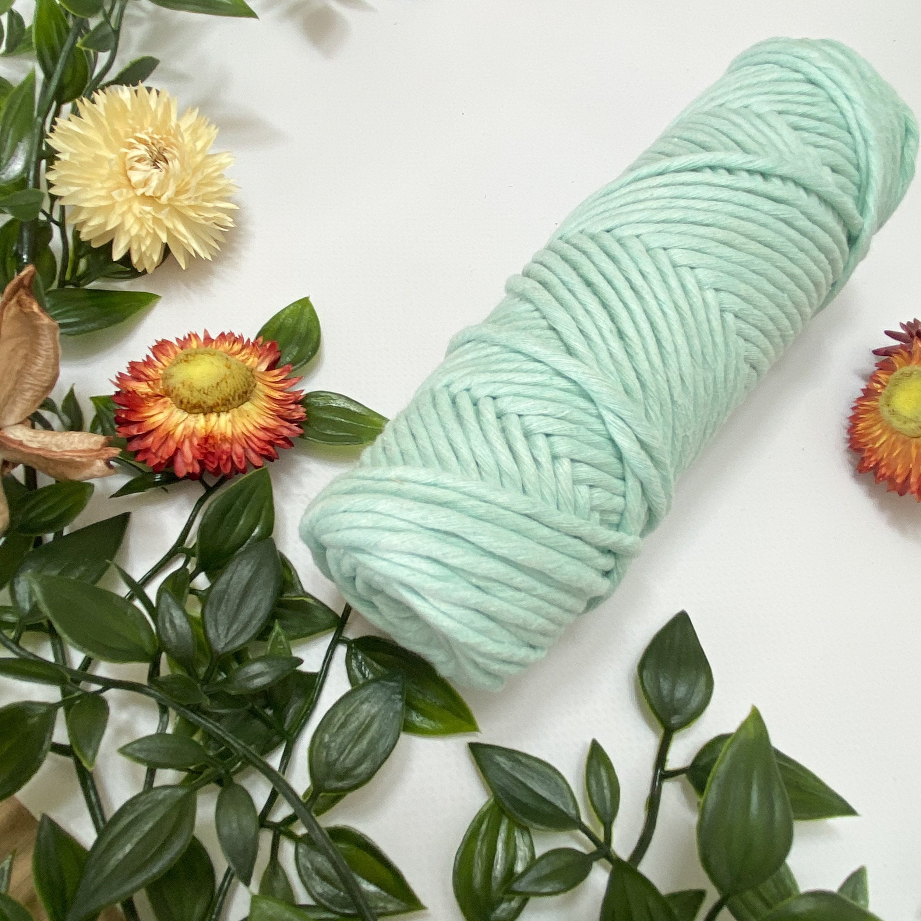 Mary Maker Studio Luxe Colour Cotton Mint 3mm Minis - Luxe Cotton String (50 Colours) macrame cotton macrame rope macrame workshop macrame patterns macrame