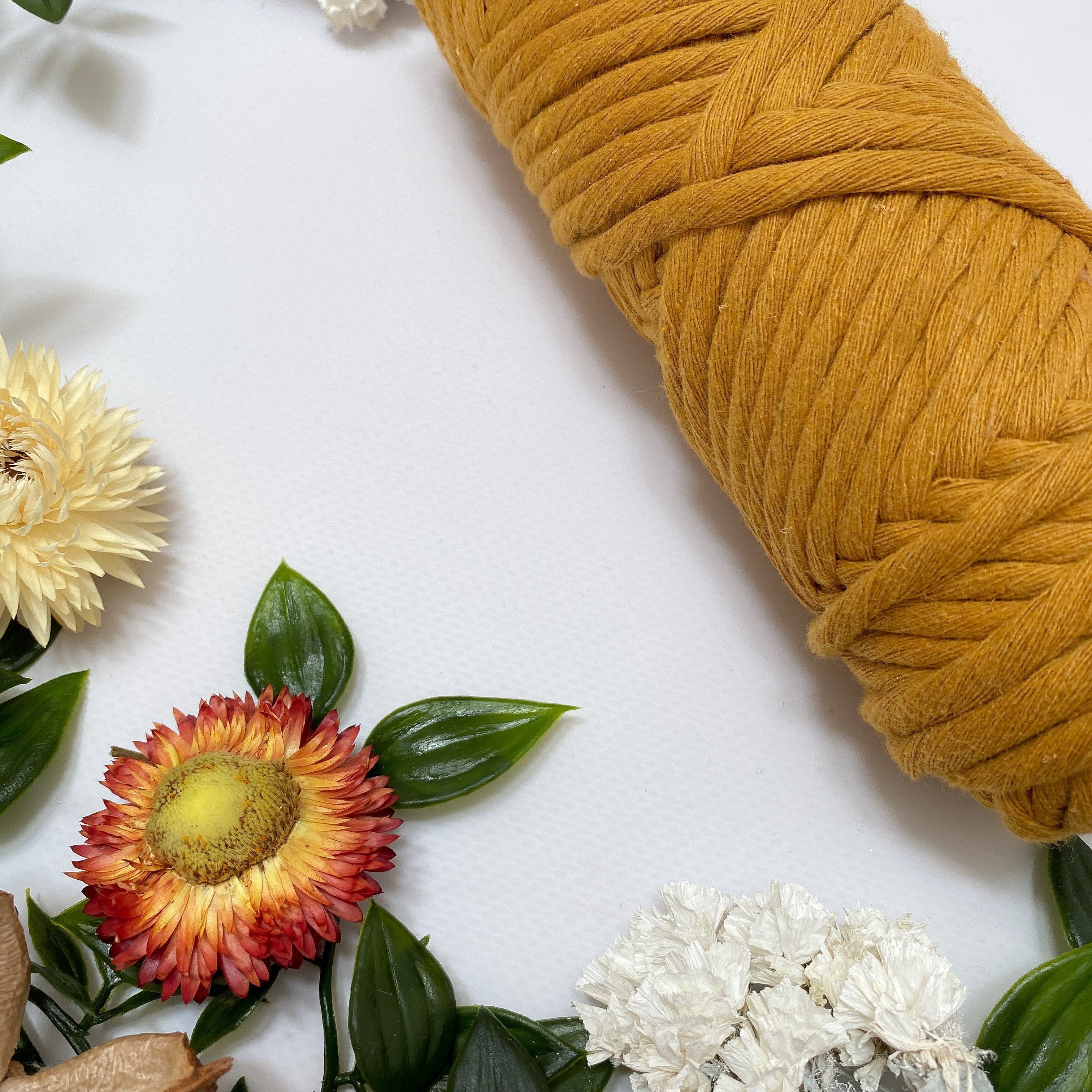 Mary Maker Studio Luxe Colour Cotton Mustard 5mm Minis - Luxe Cotton String (50 Colours) macrame cotton macrame rope macrame workshop macrame patterns macrame