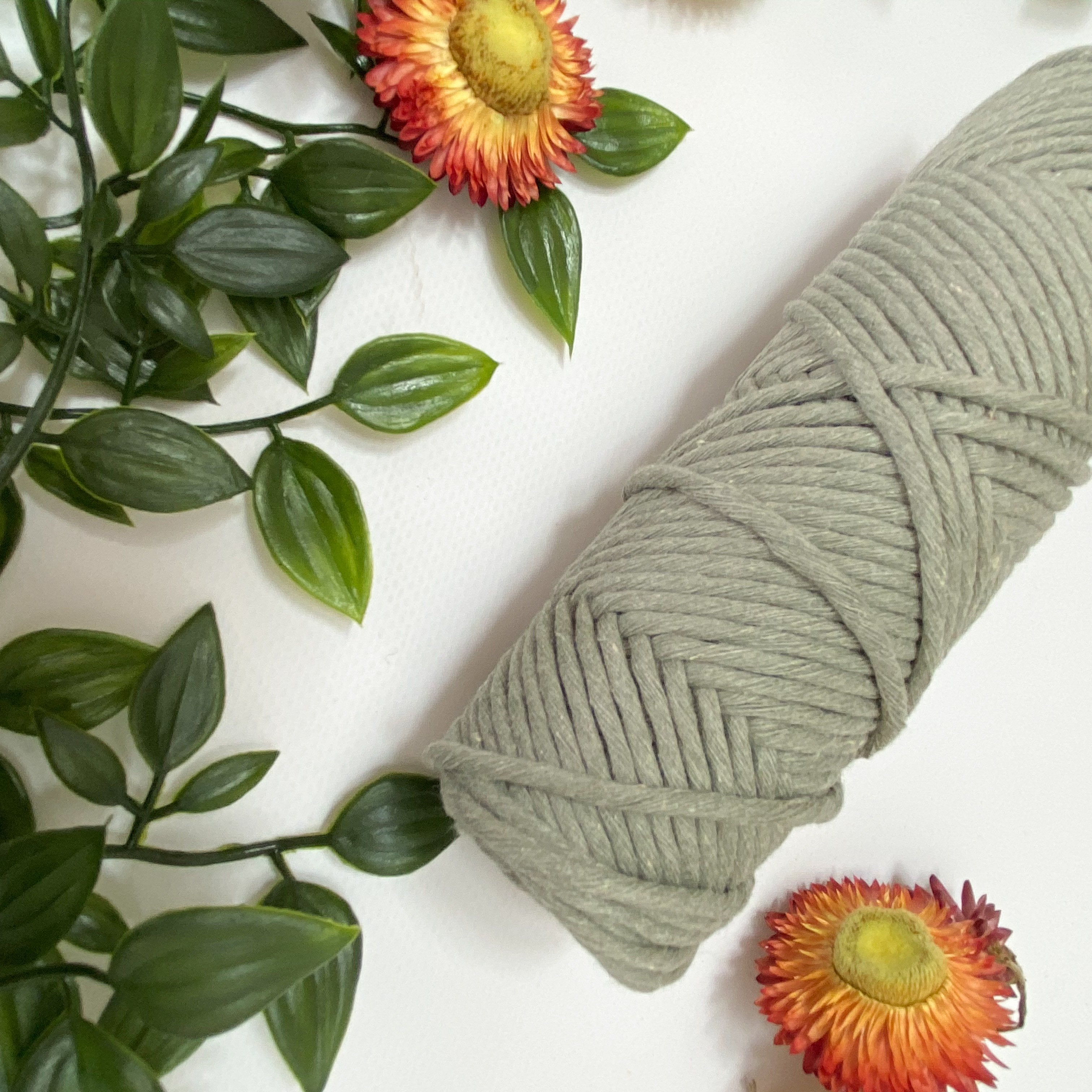 Mary Maker Studio Luxe Colour Cotton Sage 3mm Minis - Luxe Cotton String (50 Colours) macrame cotton macrame rope macrame workshop macrame patterns macrame