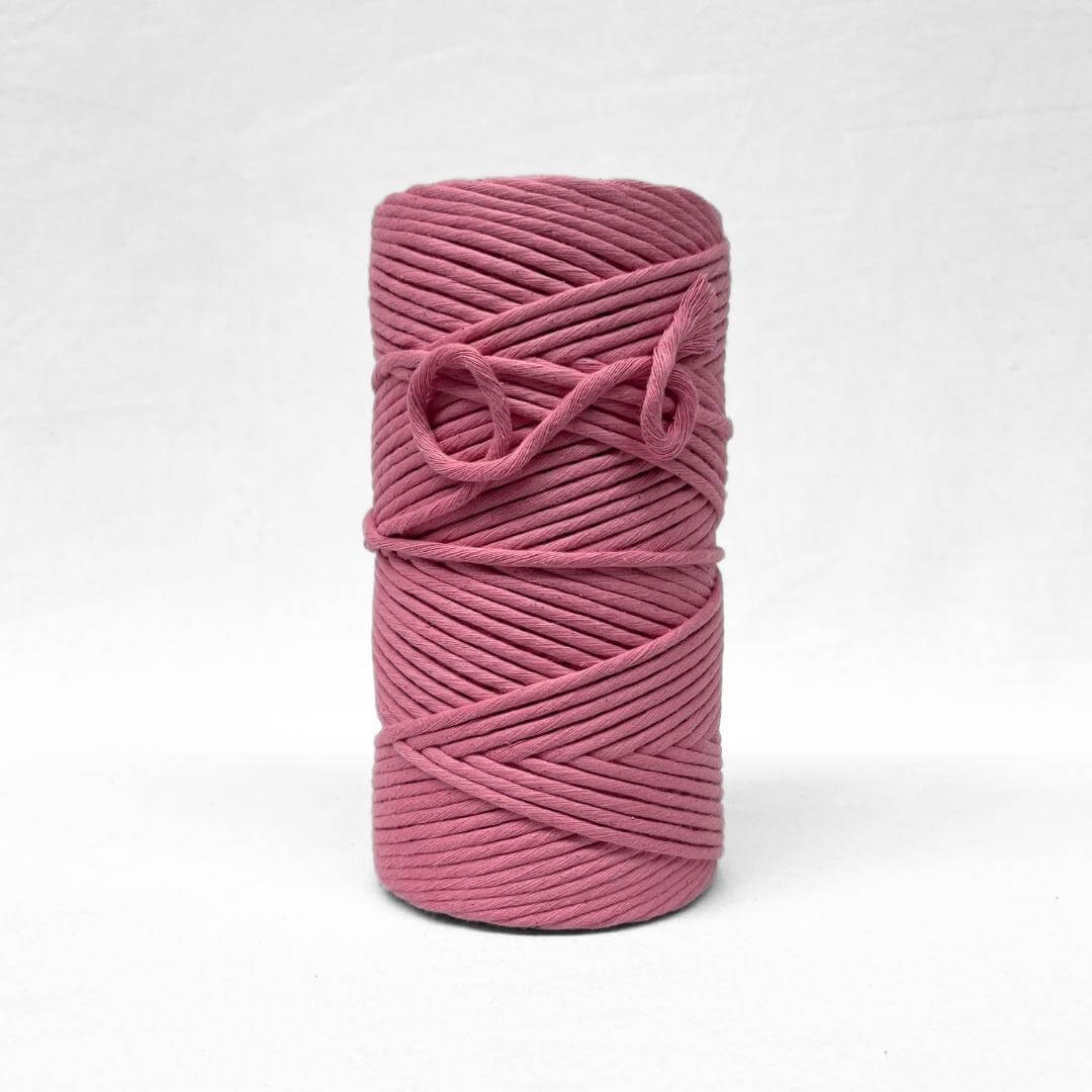 musk pink 5mm macrame cord standing alone on white wall