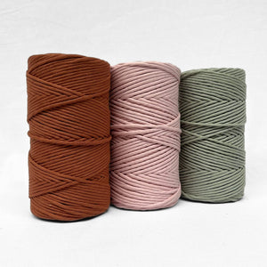 ccolour combination photo of three rolls showing sage green burnt butter brown and light pink 5mm string on white back drop