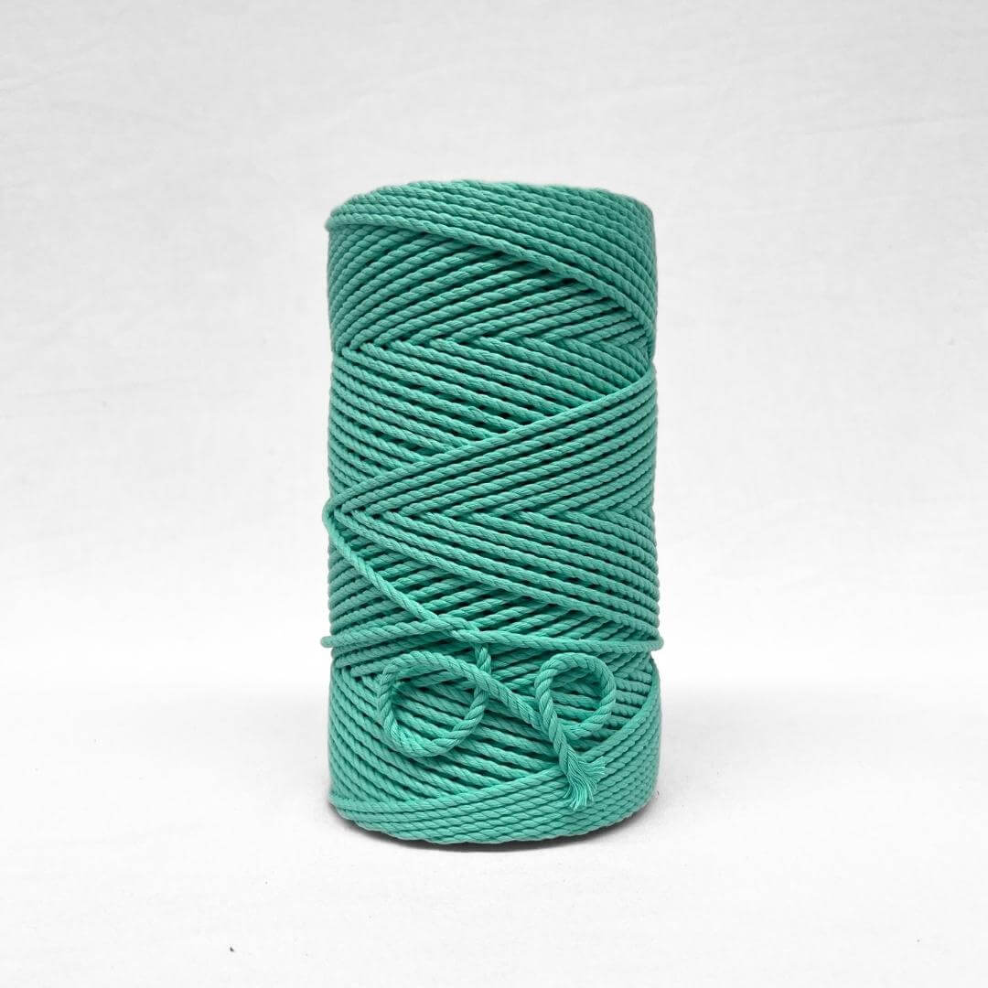 deep mint green 4mm rope cotton cord standing upright on whtie background showcasing product softness with small brushed out piece 