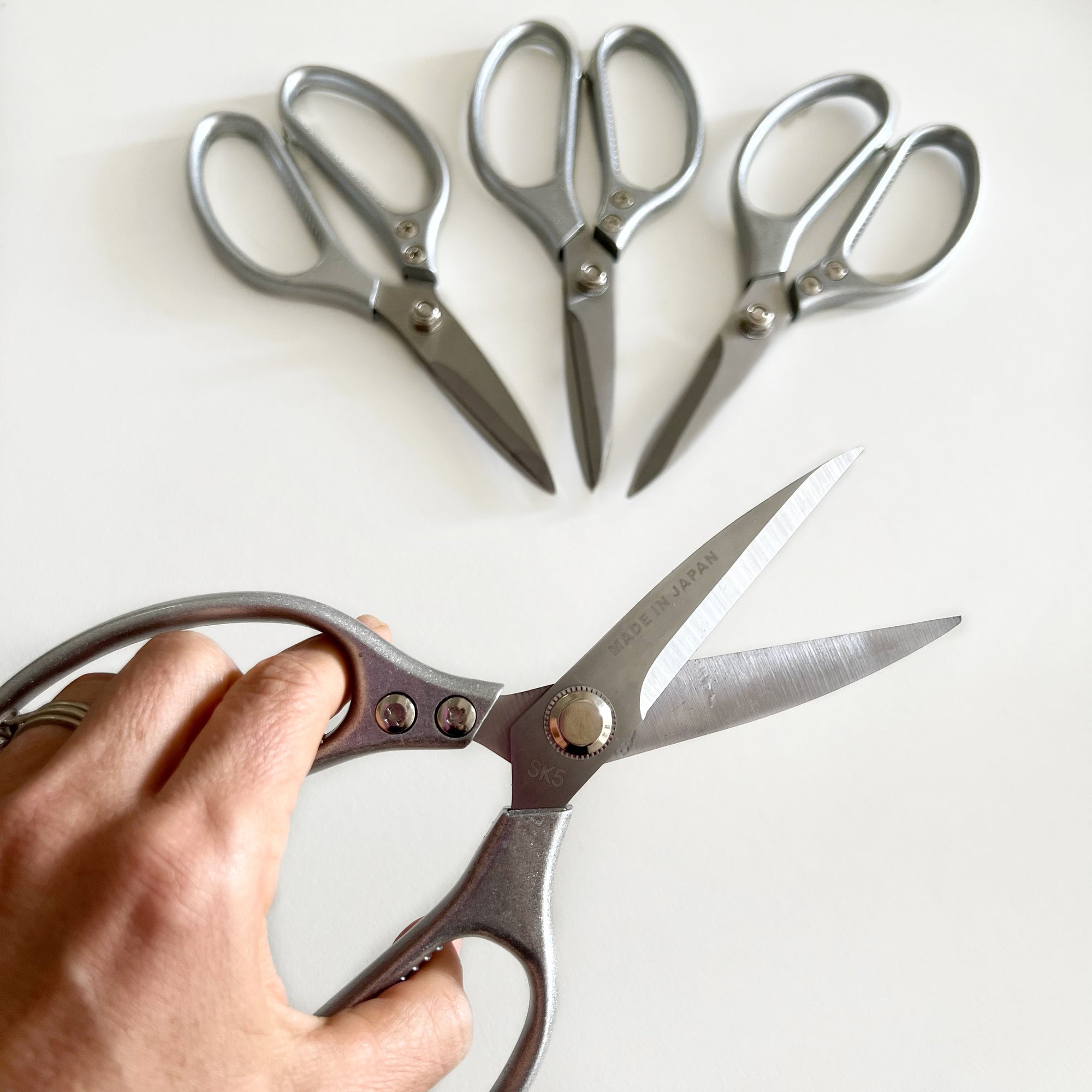 metal craft scissors in group photo on white background