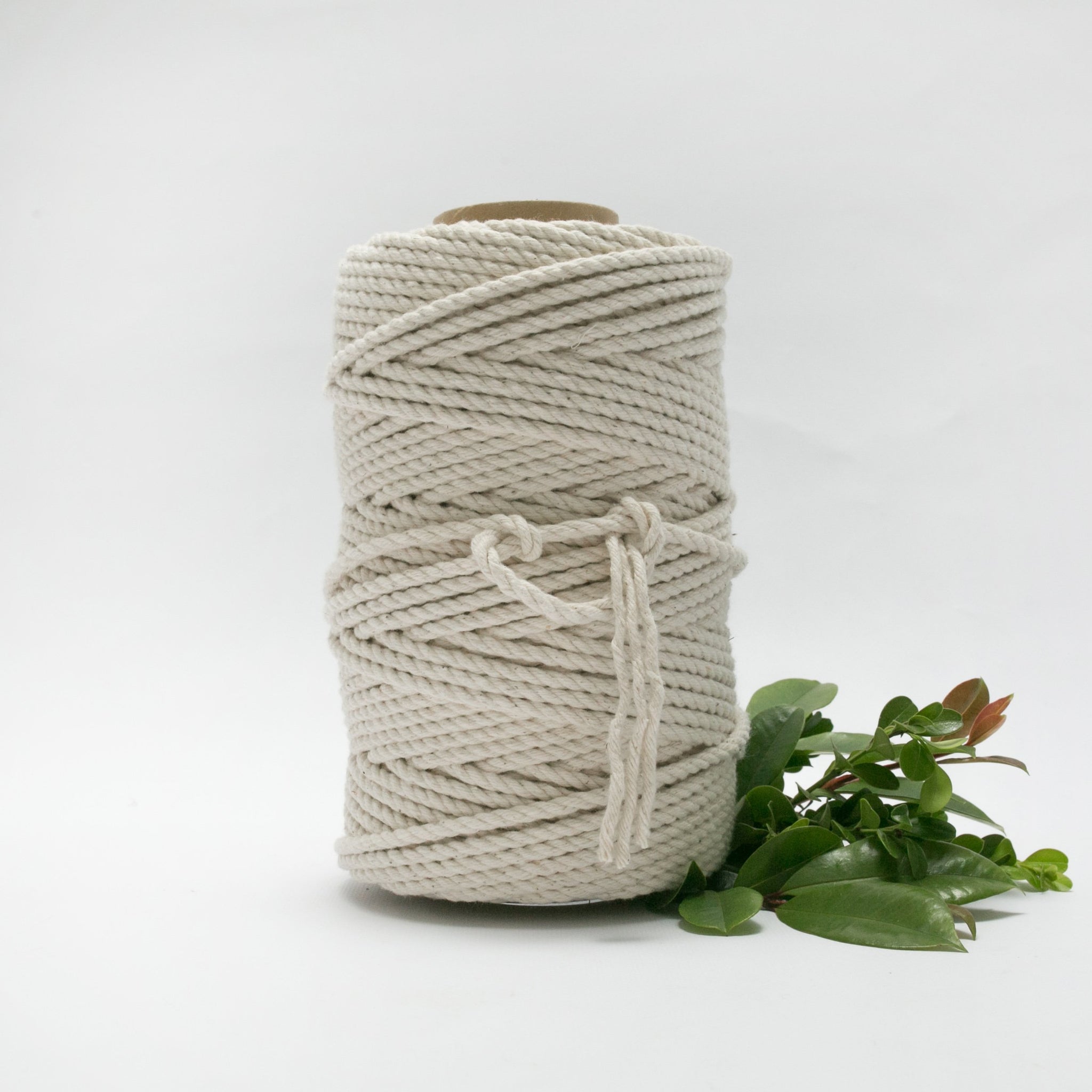 7mm - Macrame Cotton Rope / Wholesale Available - Mary Maker Studio -  Macrame & Weaving Supplies and Education.
